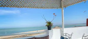 Image of Dar Louis