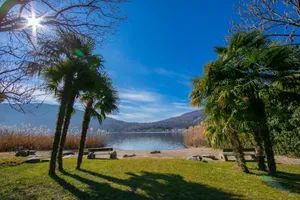 Image of Little Love 207 - Happy Rentals