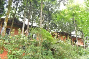 Image of Sapa Jungle Homestay