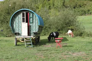 Image of La maison du bonheur - les roulottes - Campsite