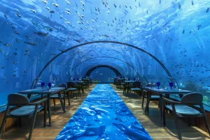 Image of Hurawalhi Island Resort