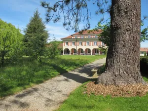 Image of Burgbühl