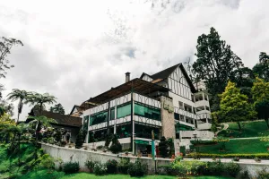 Image of Casadela Rosa
