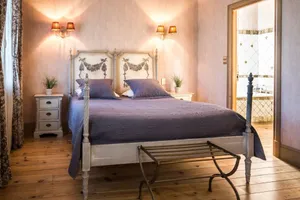 Image of Demeure Saint Louis Historic manor, City 700m, parking,A C,Clim,WIFI, heated pool, city view
