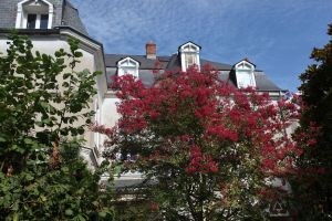 Image of La Maison Jules