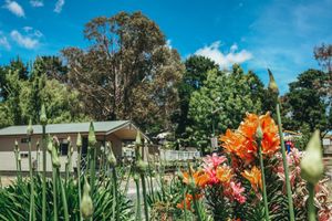 Image of Eaglehawk Park Canberra