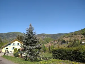 Image of Les Sapins