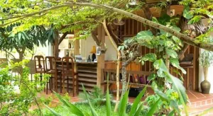 Image of TARA LODGE Haven of peace