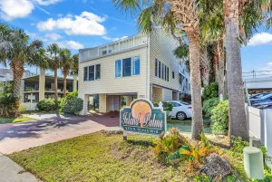 Image of Island Palms - D1