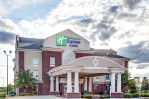 Image of Holiday Inn Express & Suites Raceland - Highway 90 by IHG