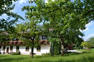 Image of Lassingbauer