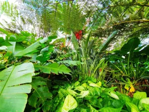 Image of 2BR Food Drink Hub Gym Pool Views Roof Terrace