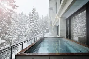 Image of Terminal Neige - Totem