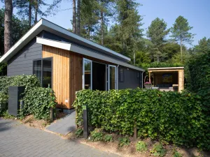 Image of Modern house with roof in Rhenen