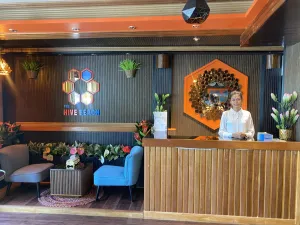 Image of The Hive Beach