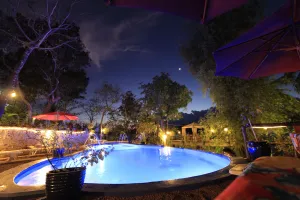 Image of Discovery Island Resort