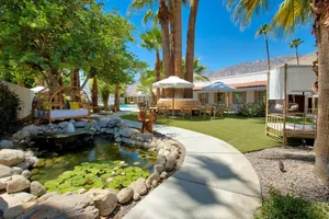 Image of Dive Palm Springs