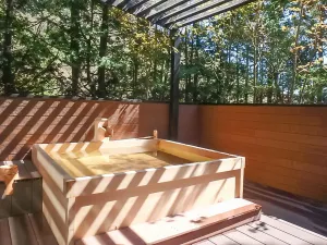 Image of LiVEMAX RESORT Hakone Ashinoko