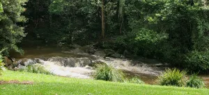 Image of Maleny Hotel