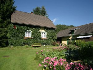 Image of Holiday home in Scheifling near ski area