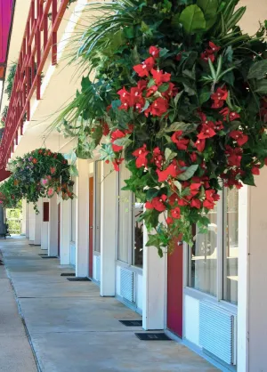 Image of Passion Play Road Inn - Formerly Statue Road Inn