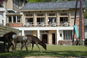 Image of Mountain Home Lodge in Deer Park