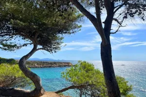 Image of Camping les Tamaris ***