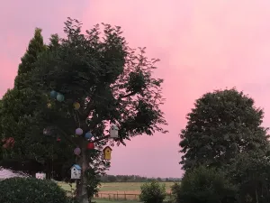 Image of B&B Worpsweder Blick