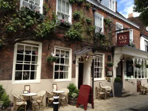 Image of The Old Vine