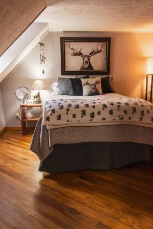 Image of Moose Room Rustic Colorado Lodge Escape