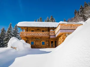 Image of Oberholzlehen hut with a great view