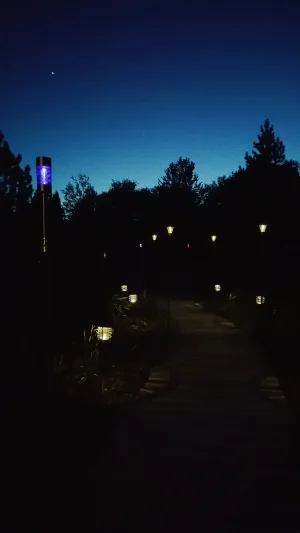 Image of Shire In The Woods