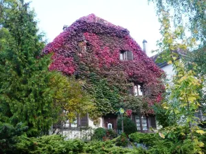 Image of B&B de charme La Maison des 5 Temps