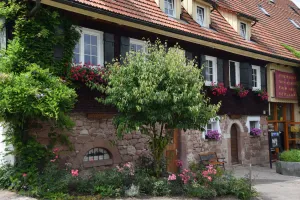 Image of Gutshof-Hotel Waldknechtshof