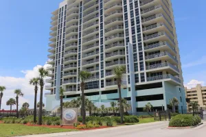 Image of Emerald Dolphin by Surfside VR