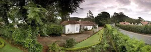 Image of Neemrana's Wallwood Garden