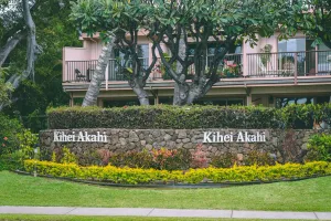 Image of Kihei Akahi D209 - MCH