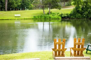 Image of Basswood Resort