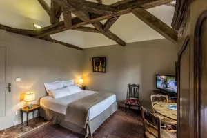 Image of L'Hotel de Panette, Un exceptionnel château en coeur de ville