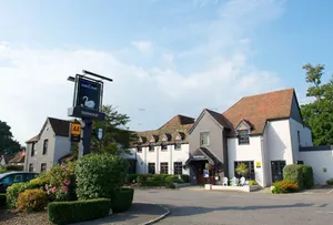Image of The White Swan