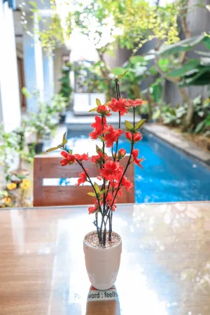 Image of Alia Home