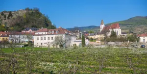 Image of Barock-Landhof Burkhardt