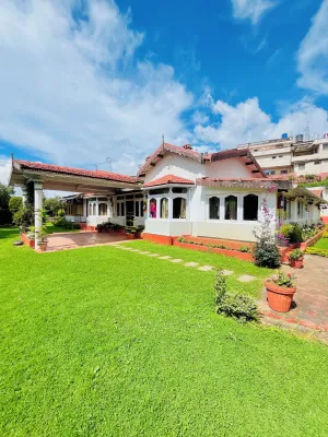 Image of BouganVilla