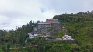 Image of Jem Valley