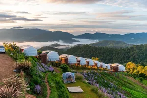 Image of The View Homestay Monjam เดอะวิว โฮมสเตย์ม่อนแจ่ม