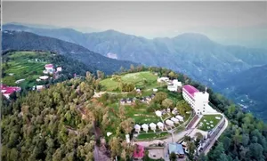 Image of Jungle Livinn