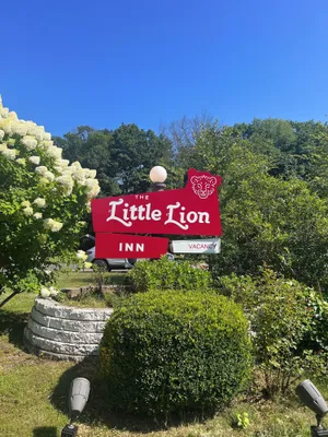 Image of The Little Lion
