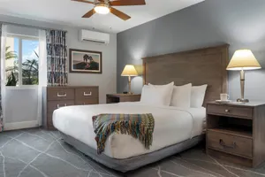 Image of Dolphin's Cove