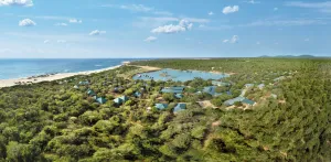 Image of Cinnamon Wild Yala