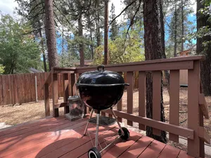 Image of Rincon Cabin - Close to the lake with a huge fenced in yard! Hot tub and deck with barbecue!
